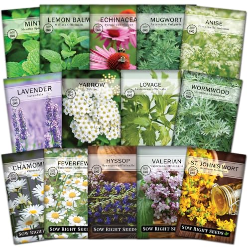 Sow Right Seeds - Medicinal Herb Seed Collection for Planting - Chamomile, Echinacea, Lavender, Mint, Valerian, Lovage, Lemon Balm, & More - Non-GMO Heirloom for Home Remedies, Teas, Tinctures