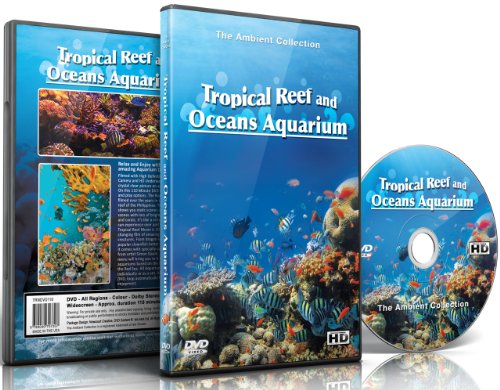 Aquarium DVD | Tropical Reef & Oceans Aquarium with Colorful Corals & Fishes