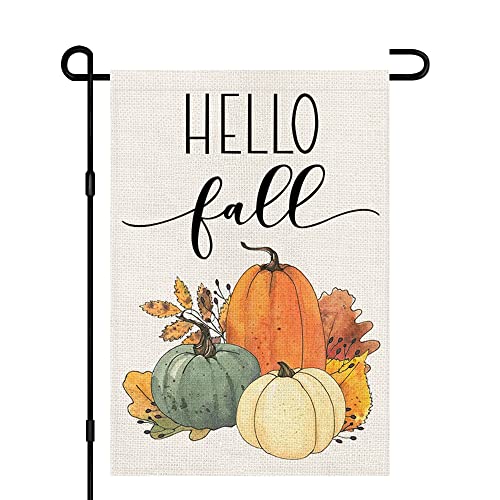 Hello Fall Pumpkin Garden Flag 12x18 Inch Double Sided, Autumn Sign Seasonal Yard Outdoor Thanksgiving Decor DF310