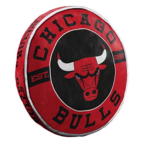 Northwest 1NBA148000004RET Company Chicago Bulls 15' Travel Cloud Pillow, One Size (Pack of 1), Multicolor