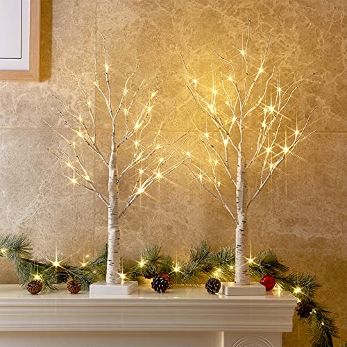 PEIDUO Christmas Tree for Table Decor, 2FT Birch Tree with LED Lights, Warm White Light up Tree Lamp, Fairy Light Spirit Tree for Christmas Decorations Home Indoor, Battery Powered, Timer (2PK)
