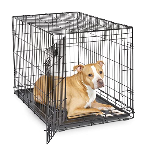 MidWest Homes for Pets Newly Enhanced Single Door iCrate Dog Crate, Includes Leak-Proof Pan, Floor Protecting Feet , Divider Panel & New Patented Features, Black