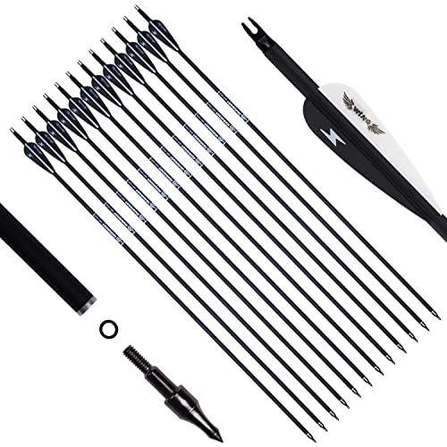 31inch Carbon Arrow Archery Targeting Practice Hunting Arrows for Compound & Recurve Bow with Removable Tips(Pack of 12) (Black White)