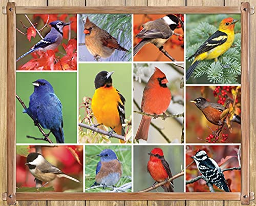 Springbok Puzzle to Remember - Alzheimer & Dementia Activity -100 Piece Jigsaw Puzzle Songbirds - Made in USA