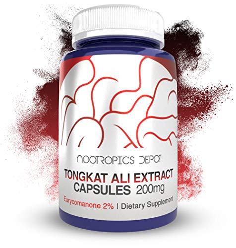 Nootropics Depot Tongkat Ali Extract Capsules | 200mg | 120 Count | 2% Eurycomanone by HPTLC | Eurycoma longifolia Root Extract