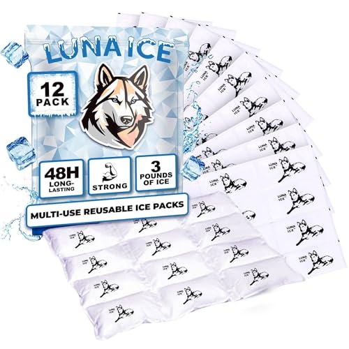 Ice Pack Bulk 12-600-Dry Ice for Shipping Frozen Food-Lunch Box Ice Packs-Slim Size 15x12in/5x3in Cells-Reusable ice Packs-Freezer Packs-Ice Packs Shipping-Dry ice Packs for shipping-12 Pack-Luna Ice