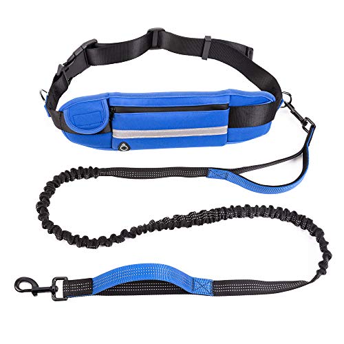 {Updated} Top 10 Best dog leash belt {Guide & Reviews}