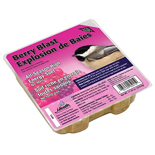 Heath Outdoor Products, Value Pack - DDB2-18 Berry Suet Cake - 11 oz. - Pack of 18, Natural