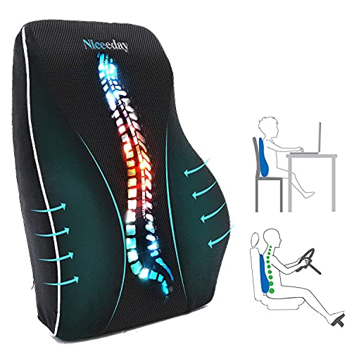 Lumbar Support Pillow for Office Chair Car, Gaming Chair Lower Back Pain Relief Memory Foam Cushion with 3D Mesh Cover Ergonomic Orthopedic Back Rest（16.31' 17.94'*4.69）