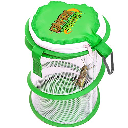 Nature Bound NB528 Pop Up Critter Catcher Habitat Kit with Carabiner Clip & Zipper Lid, One Size, Green