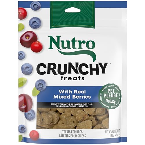 NUTRO Crunchy Dog Treats with Real Mixed Berries, 16 oz. Bag