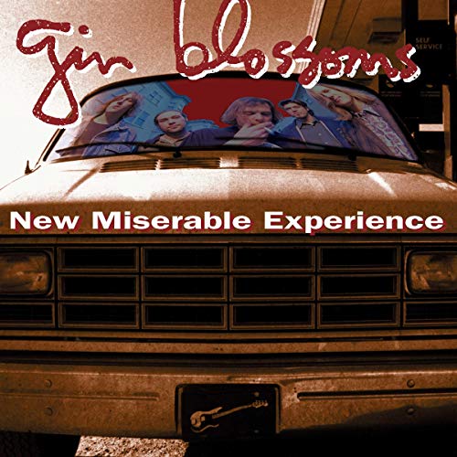 New Miserable Experience[LP]