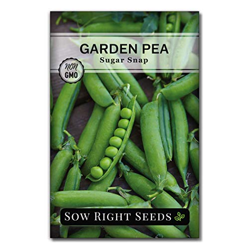 Sow Right Seeds - Sugar Snap Pea Seeds for Planting - Non-GMO Heirloom Packet with Instructions to Plant a Home Vegetable Garden - Grow Tons of Delicious Pods - Cool Season Crop, Super Productive (1)