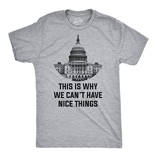 This is Why We Can't Have Nice Things T Shirt Funny Anti Capitol Political Tee Mens Funny T Shirts Funny Political T Shirt Novelty Tees for Men Light Grey L