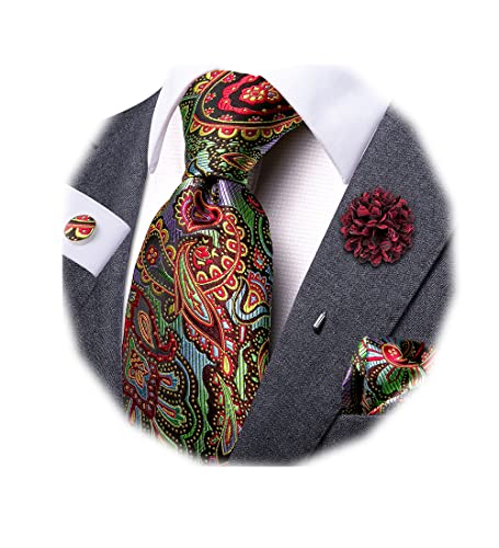 Dubulle Mens Multi Green Red Paisley Tie and Lapel Pin Set Silk Necktie for Men Wedding Business