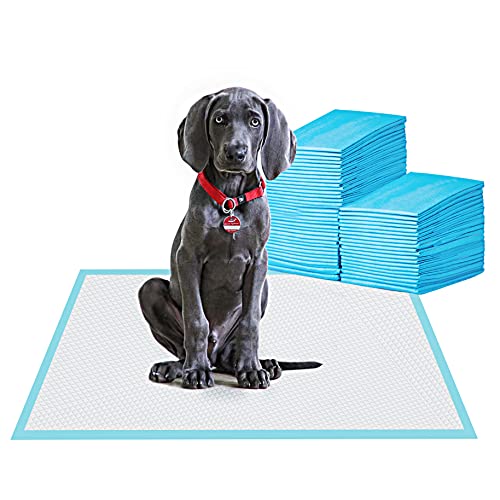 BESTLE Large Pet Training and Puppy Pads Pee Pad for Dogs 24'x24'-80 Count Super Absorbent & Leak-Proof