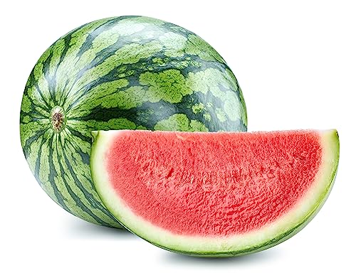 50 Sugar Baby Watermelon Seeds for Planting - Heirloom Non-GMO USA Grown Premium Fruit Seeds for Planting a Home Garden - Small Watermelon Citrullus Lanatus by RDR Seeds