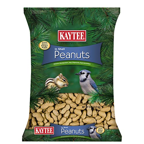 Kaytee Peanuts in Shell for Squirrels, Woodpeckers, Nuthatches, Jays, Towhees, Cardinals, Indigo Buntings, and Other Wild Birds, 5 Pound