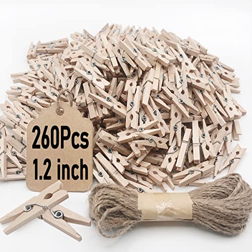 Mini Clothes Pins, 260 PCS Small Wooden Clothes Pins with Jute Twine, Clothespins, Clothes Pins for Photos Crafts DIY Project