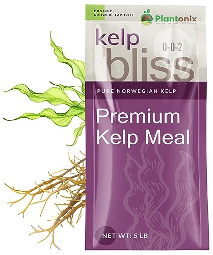 Kelp Bliss - Pure Kelp Meal - Organic Kelp Fertilizer for Growing Healthy Plants, Crops, and Gardens! Increases Fruit and Vegetable Yield! (5 lbs)