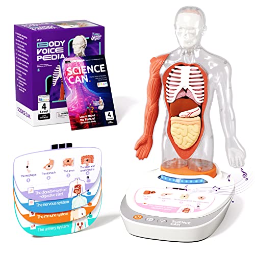 Science Can Human Body Model for Kids, Interactive Human Anatomy Talking Model - 11 Inch Realistic Anatomical Assembly Kit 15PCS Removable Parts and Guide STEM Educational Toys for Kids Aged 6+ Gifts