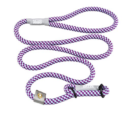 Cesar Millan Slip Lead Leash - 2-in-1 Slip Collar Dog Training Lead & Collar | Heavy Duty Durable Weatherproof Rope Leash, No Pull Training | Length 4ft Diameter 4/10”(Regular, Aqua/Purple)