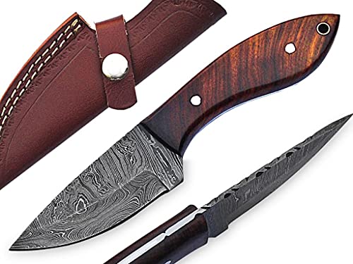 MMA 8inch Custom Handmade Damascus blade knife/Fixed blade knife with sheath/Fixed Blade Knives/Skinning Knives/Hunting Knives/EDC Knives (Brown)