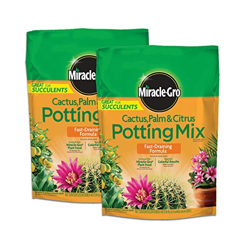 Miracle-Gro Cactus, Palm and Citrus Potting Mix, for Indoor or Outdoor Container Plants, Great for Succulents, 8 qt., 2-Pack