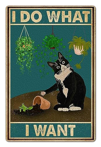 Bestylez Cute Cat Pictures Cat Poster Catio Accessories Cat Room Decor Gifts For Cat Lovers - I Do What I Want Sign, 8 x 12 Inch (915)