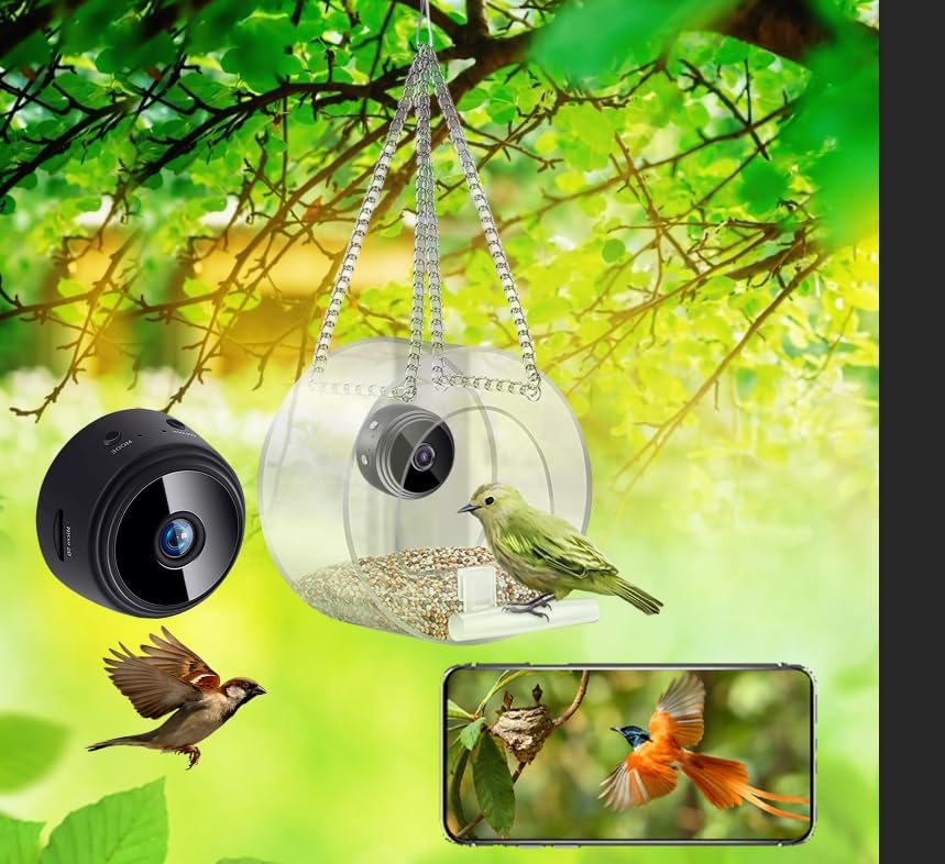 Bird Feeder with Camera, 1080P HD Visual Storage Feeders, Large-Capacity Battery, Night Version Camera for Outdoor Bird Watching Lightning Deals of Today Prime My Orders Placed Recently by Me