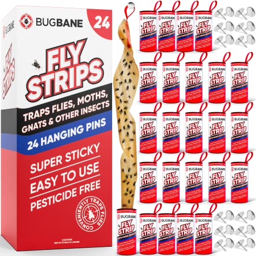 24 Fly Strips Indoor Sticky Hanging with Pins. Paper Tape for Indoors and Outdoor. Catcher Ribbon Traps Flypaper. Fruit Gnat