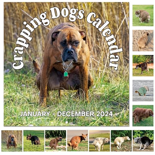 2024 Calendar – Dogs Pooping Calendar 2024, Jan 2024 - Dec 2024, 2024 Wall Calendar Funny Dog Gag Gifts, 11.8' x 23.6' (Open), 12 Monthly 2024 Wall Calendar with Hanging Hole, Premium Paper