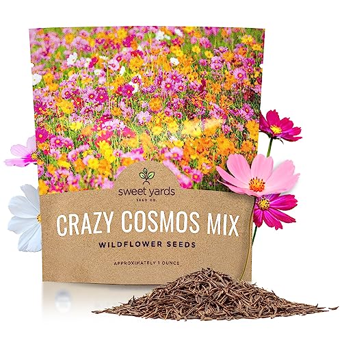 Cosmos Seeds Wildflower Mixture - Bulk 1 Ounce Packet - Over 5,000 Seeds - Pink, Yellow, Orange, Red, Purple and White Mixed Species!