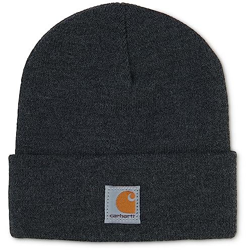 Carhartt unisex child Acrylic Watch Cold Weather Hat, Dark Gray, 2-4T US