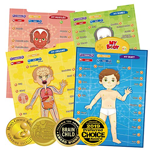 BEST LEARNING i-Poster My Body - Interactive Educational Human Anatomy Talking Game Toy | Learn Body Parts, Organs, Muscles and Bones for Kids Aged 5 to 12 Years Old