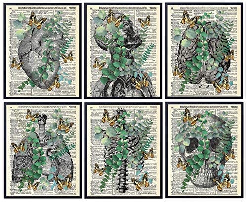 Anatomy with Eucalyptus and Butterflies, Vintage Dictionary Art Print, Modern Contemporary Wall Art For Home Decor, Boho Art Print Poster, Farmhouse Wall Decor 8x10 Inches, Unframed (6 Piece Set)