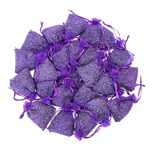 Lavande Sur Terre French Lavender Sachets for Drawers and Closets Fresh Scents, Set of 24, Home Fragrance Sachet for Wardrobes Closets, Purple, LV-S-C-24-1