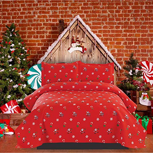 List of Top 10 Best christmas quilt twin in Detail