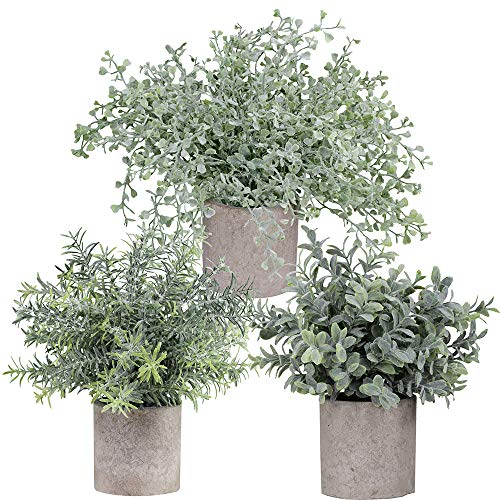 Winlyn Mini Potted Plants Artificial Flocked Eucalyptus Boxwood Rosemary Greenery in Pots Faux Potted Herbs Small Houseplants 8.8'-10' Tall for Indoor Greenery Tabletop Décor Centerpiece 3 Pack