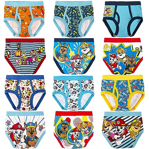 Paw Patrol Boys 12-PK of 100% Cotton Panties in Advent Box Makes Holidays and Potty Training Fun, Sizes 2/3T, 4T & 5T, 12-Pack, 5T