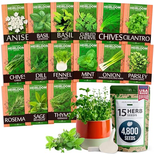 HOME GROWN 15 Culinary Herb Seeds - Heirloom & Non GMO - High Germination Rate - Seeds for Planting Indoor Hydroponic or Outdoor Garden | Gardening Gift Men Women Gardeners Basil, Cilantro, Mint