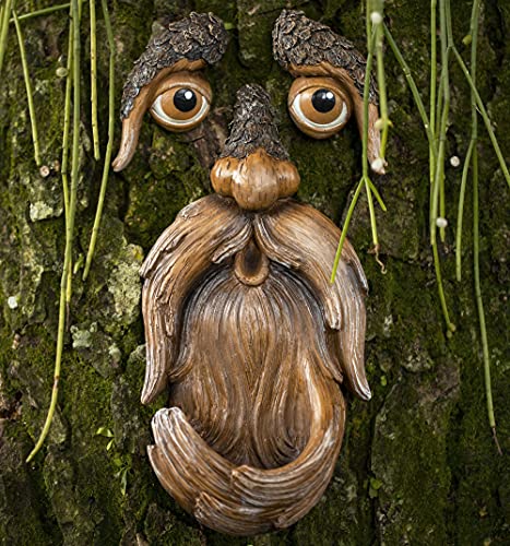 Tree Face, Tree Faces Outdoor, Tree Art, Tree Decorations Outdoor, Tree Faces, Unique Bird Feeders for Outdoors and Indoors – Face for Tree Trunk