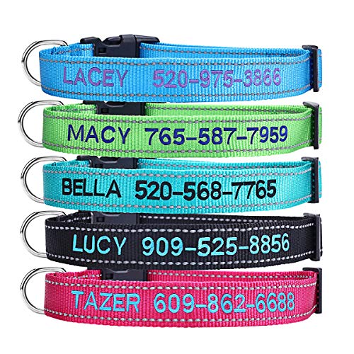 Personalized Dog Collar, Custom Embroidered Pet Name and Phone Number 4 Adjustable Sizes X-Small Small Medium Large Quick Release Buckle and D-Ring