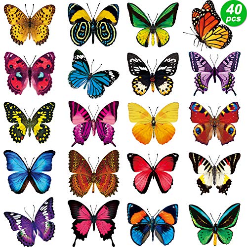40 Pieces Butterfly Anti-Collision Window Clings Birds Window Decals to Prevent People and Bird Strikes on Window Glass Cling Decor for Windows and Doors