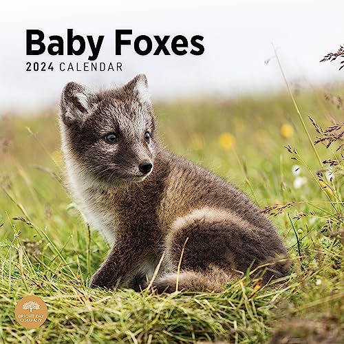2024 Baby Foxes Monthly Wall Calendar by Bright Day, 12 x 12 Inch Cute Nature Photography Gift