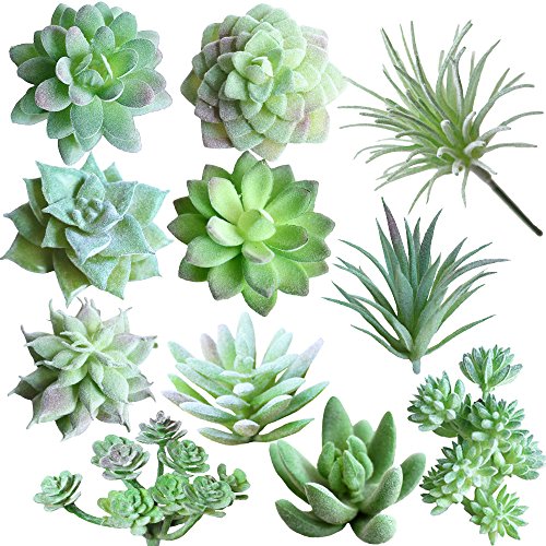 Supla 11 Pcs Mini Artificial Succulents Picks Unpotted Faux Succulent Assortment in Flocked Green in Different Type Different Size Succulents Echeveria Agave Floral Arrangement Mother Day' s Gift