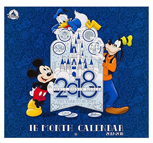 Walt Disney World 2017 - 2018 16 Month Photo Calendar The Year to be Here