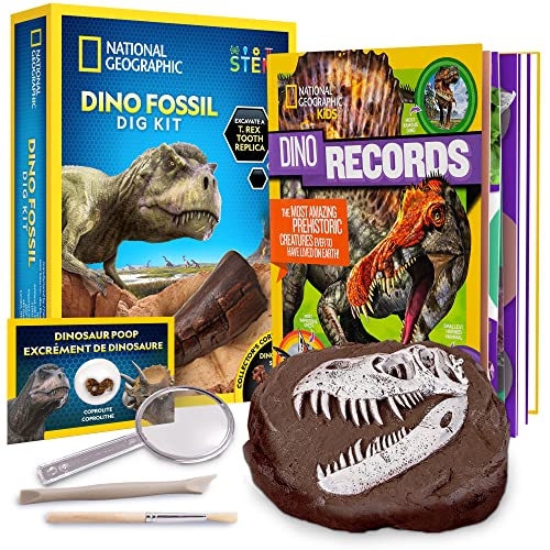 NATIONAL GEOGRAPHIC Dino Fossil Dig Kit & Dinosaur Book for Kids- Excavate a Replica Dinosaur Tooth Fossil and Study Paleontology with a Full-Color Dinosaur Activity Book for Kids (Amazon Exclusive)