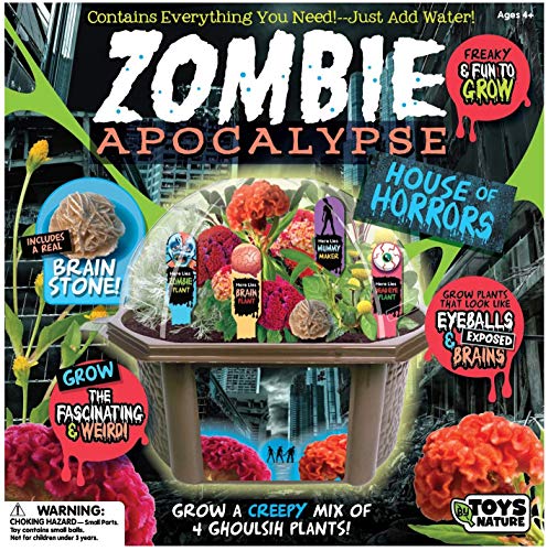 TOYS BY NATURE Create Your Own Zombie Apocalypse - Complete Kids Terrarium Kit to Grow Plants That Look Like Real Brains and Eyeballs - Includes Everything Needed to Start Your House of Horrors