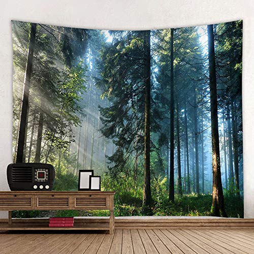 Forest Landscape Magic Tapestry for Home Décor Living Room Bedroom Decoration Curtain (Morning Forest, 60''L×51''W)